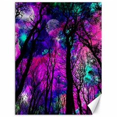 Fairytale Forest Canvas 18  X 24  by augustinet