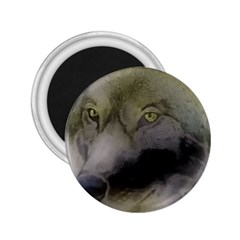 Wolf Evil Monster 2 25  Magnets by HermanTelo