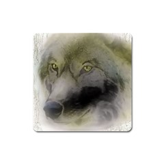 Wolf Evil Monster Square Magnet by HermanTelo