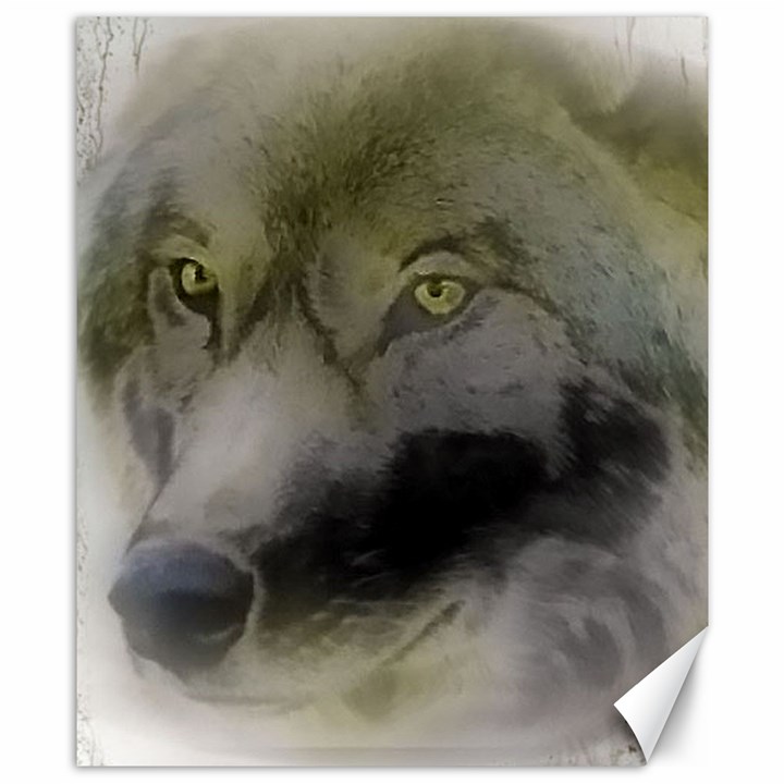 Wolf Evil Monster Canvas 8  x 10 