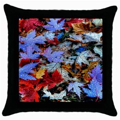 Rainbow Season Throw Pillow Case (Black)