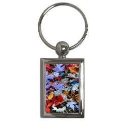 Rainbow Season Key Chain (Rectangle)