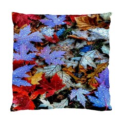 Rainbow Season Standard Cushion Case (Two Sides)