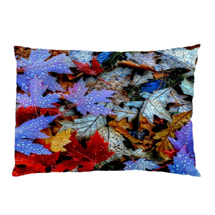 Rainbow Season Pillow Case