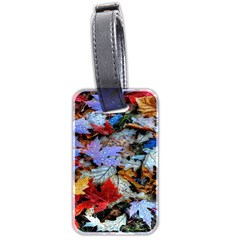 Rainbow Season Luggage Tag (two sides)