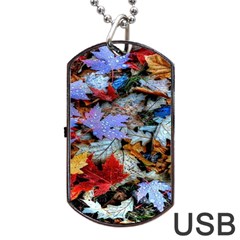 Rainbow Season Dog Tag USB Flash (One Side)