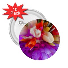 Poppy Flower 2 25  Buttons (10 Pack)  by Sparkle