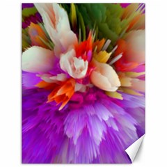 Poppy Flower Canvas 12  X 16  by Sparkle