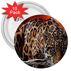 Nature With Tiger 3  Buttons (10 Pack)  by Sparkle