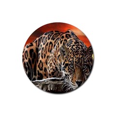 Nature With Tiger Rubber Round Coaster (4 Pack)  by Sparkle