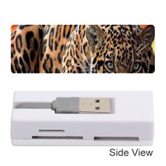 Nature With Tiger Memory Card Reader (stick) by Sparkle