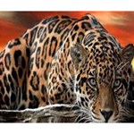 Nature With Tiger Deluxe Canvas 14  x 11  (Stretched) 14  x 11  x 1.5  Stretched Canvas