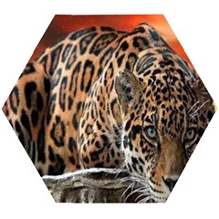 Nature With Tiger Wooden Puzzle Hexagon by Sparkle