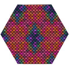 Hexxogons Wooden Puzzle Hexagon by Sparkle