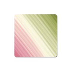 Pink Green Square Magnet by Sparkle