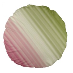 Pink Green Large 18  Premium Round Cushions by Sparkle