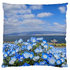 Floral Nature Large Flano Cushion Case (two Sides) by Sparkle