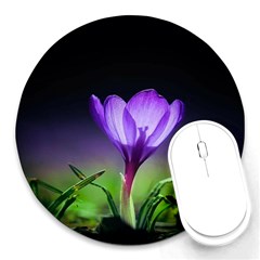 Flower Round Mousepads by Sparkle