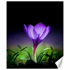 Flower Canvas 8  X 10  by Sparkle