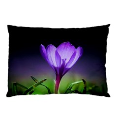 Flower Pillow Case (two Sides) by Sparkle