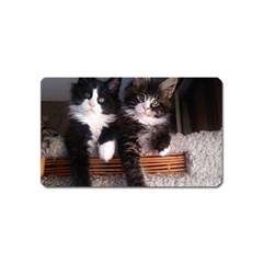 Cats Brothers Magnet (name Card) by Sparkle