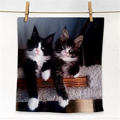 Cats Brothers Face Towel by Sparkle