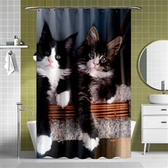 Cats Brothers Shower Curtain 48  X 72  (small)  by Sparkle