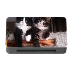 Cats Brothers Memory Card Reader With Cf by Sparkle