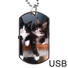 Cats Brothers Dog Tag Usb Flash (one Side) by Sparkle