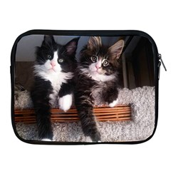 Cats Brothers Apple Ipad 2/3/4 Zipper Cases by Sparkle