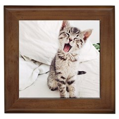 Laughing Kitten Framed Tile by Sparkle