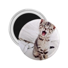 Laughing Kitten 2 25  Magnets by Sparkle