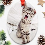 Laughing Kitten Ornament (Oval) Front