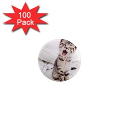 Laughing Kitten 1  Mini Magnets (100 Pack)  by Sparkle