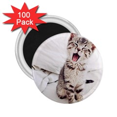 Laughing Kitten 2 25  Magnets (100 Pack)  by Sparkle