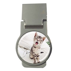 Laughing Kitten Money Clips (round)  by Sparkle