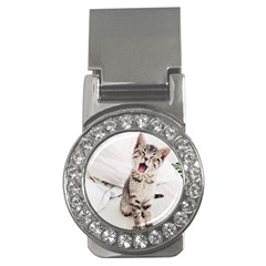 Laughing Kitten Money Clips (cz)  by Sparkle