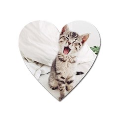 Laughing Kitten Heart Magnet by Sparkle