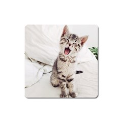 Laughing Kitten Square Magnet by Sparkle