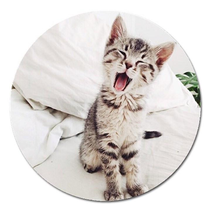 Laughing Kitten Magnet 5  (Round)