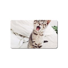 Laughing Kitten Magnet (name Card) by Sparkle