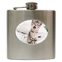 Laughing Kitten Hip Flask (6 Oz) by Sparkle