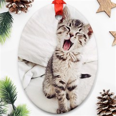 Laughing Kitten Oval Ornament (two Sides) by Sparkle