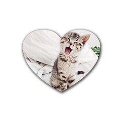 Laughing Kitten Heart Coaster (4 Pack)  by Sparkle