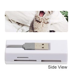 Laughing Kitten Memory Card Reader (stick) by Sparkle