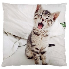 Laughing Kitten Large Cushion Case (one Side) by Sparkle