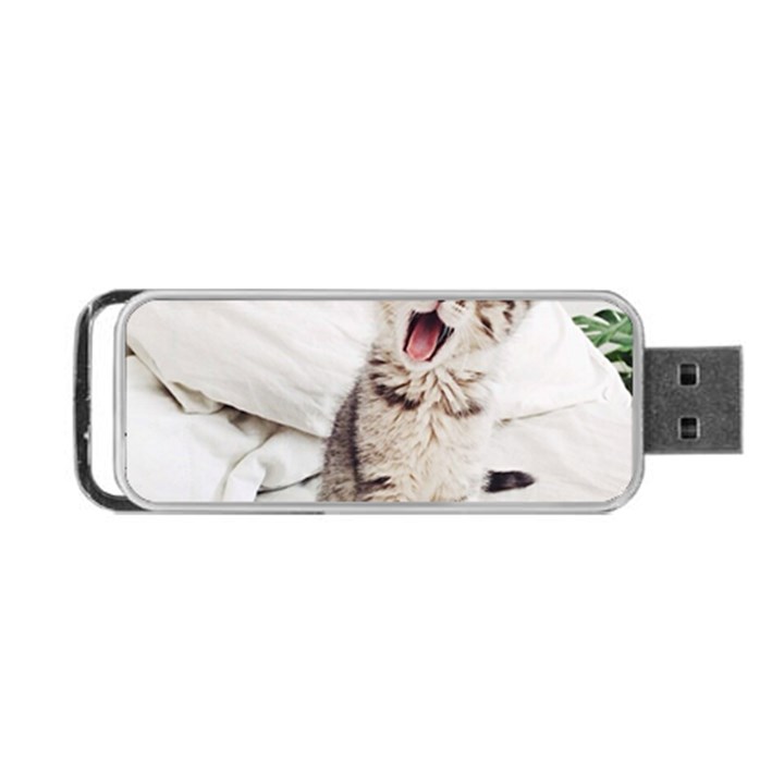 Laughing Kitten Portable USB Flash (Two Sides)