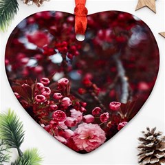 Red Floral Ornament (heart) by Sparkle