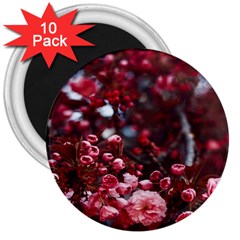 Red Floral 3  Magnets (10 Pack)  by Sparkle