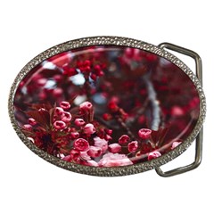 Red Floral Belt Buckles by Sparkle